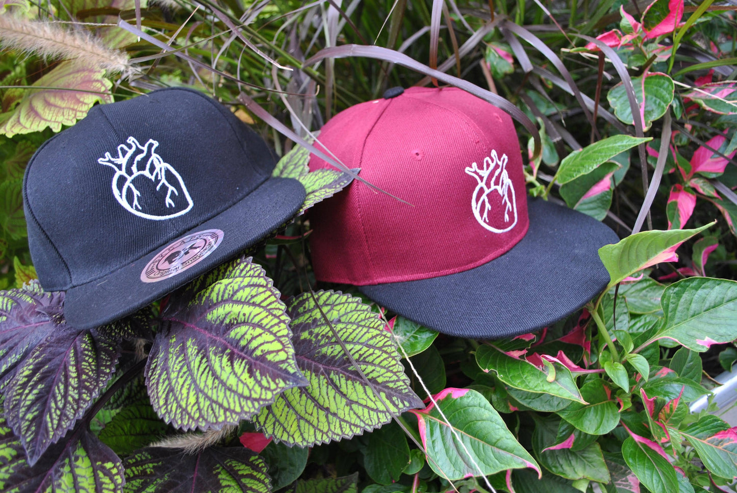 Hearts Not Parts snapback
