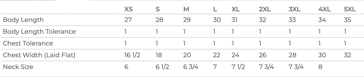 Beauty in Transition hand dyed t-shirt