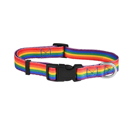 Rainbow Striped Extra Large Dog/Cat/Pet Collars